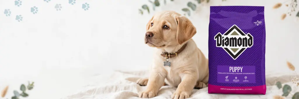 Diamond Puppy Dog Food Review